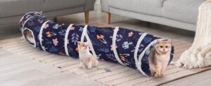 Glittme Cat Tunnel: A Fun Indoor Playground for Curious Cats